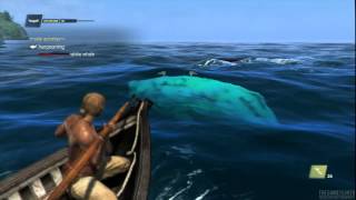 Assassins Creed IV Black Flag  Side Activities  Harpooning White Whale [upl. by Llezo]