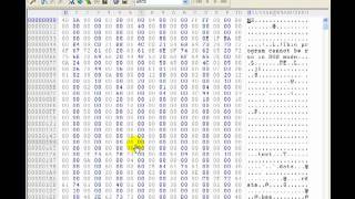 Hex Editor Password Hack with demonstration [upl. by Nataline]