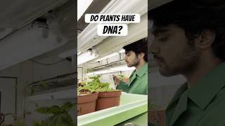 My experiment with Plant DNA 🧬  Tamil Scientist in Germany scienceexperiment tamilsciencechannel [upl. by Tedi]