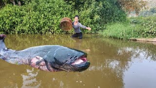 Discovering there was a big fish the girl immediately used a bamboo basket to catch the fish [upl. by Magnus311]