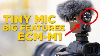 Sony ECMM1 vs RODE NTG  THIS MIC IS INCREDIBLE [upl. by Ahseyn198]