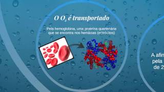 O perigo do monóxido de carbono para a saúde [upl. by Smith]