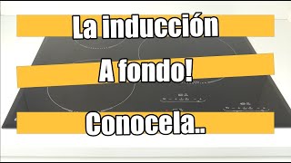 ✅ Como funciona la vitroceramica de inducción conocela Induction learn more about its operation [upl. by Ainar656]