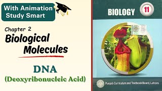 DNA Deoxyribonucleic acid  100 concept clear  Chapter 2  Class 111st year  Punjab biology [upl. by Morie]