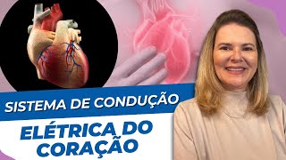 Sistema de Condução Elétrica do Coração  Anatomia para Você [upl. by Weingartner]