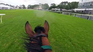 Mon Petit Cherie Grass Gallop 26 November 2024 [upl. by Eenaj706]