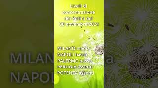 30 Novembre 24 Livelli di concentrazione dei pollini previsti in Italia Short [upl. by Dalury]