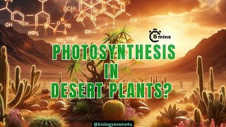 How do Desert Plants Perform Photosynthesis CAM Pathway Easy Steps [upl. by Ellesor]