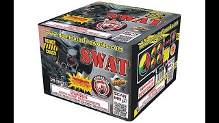 SWAT TEAM 25 SHOT  DOMINATOR FIREWORKS  DM5434 [upl. by Ekoorb]