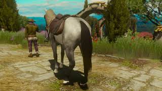 The Stable  Witcher 3 Horse Customization Mod  WIP [upl. by Ehr134]