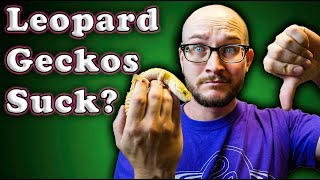 DO NOT GET A LEOPARD GECKO  Get These Lizards Instead [upl. by Berkow748]