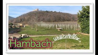 🇩🇪 Hambach  Deutsche Weinstraße  Pfalz  Mobby on Tour  Februar 2020  de [upl. by Nael]