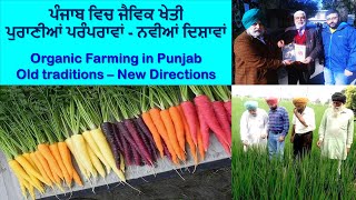 Organic Farming ਜੈਵਿਕ ਖੇਤੀ in Punjab Old Traditions New Directions Documentary [upl. by Enimzaj]