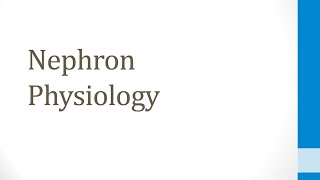 Renal 15 Nephron Physiology [upl. by Sax]