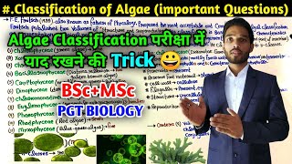 Classification of Algae  Trick to Remember Classification of Algae  BSc  MSc  PGT Biology [upl. by Cassi]