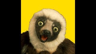 🐒 Como Desenhar um Zubumafu 🙉 How to draw Zoboomafoo [upl. by Annay]