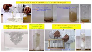 Catalyse homogène hétérogène et enzymatique 2eme Bac [upl. by Euginom]