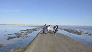 Lindisfarne Holy Island Causeway Tide Timelapse [upl. by Neukam]