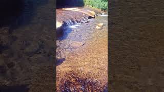 August Stream Flow 10 hikingadventures slowed flow hydrology concrete creek flowing summer [upl. by Lole]