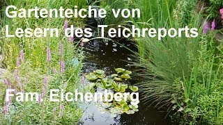 Gartenteich der Familie Eichenberg aus der Serie Gartenteiche von Lesern des Teichreports [upl. by Ayahc]