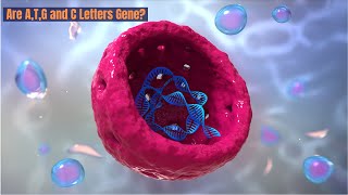 Genes Alleles and Chromosomes  Easy Explanation Genetics 101 genes biology cell [upl. by Nogras908]