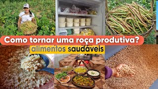 Aqui produzimos nosso próprio ALIMENTO doce de LEITE com mamão COLHEITA de feijãoalmoço e mais [upl. by Agni]