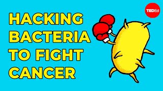 Hacking bacteria to fight cancer  Tal Danino [upl. by Trula]