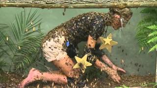 Alex Best Gets Feathered Searching For Stars  Im A Celebrity Get Me Out Of Here [upl. by Yroggerg]