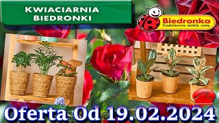 𝐁𝐈𝐄𝐃𝐑𝐎𝐍𝐊𝐀 🐞 Kwiaciarnia Biedronki Nowa Oferta Od 19022024  Kwiatowe Inspiracje Biedronki [upl. by Yhpos]