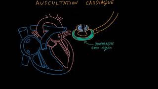 Auscultation cardiaque Partie 1 Introduction Docteur Synapse [upl. by Muffin]