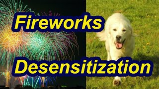 How to desensitize your dog to fireworks [upl. by Nygem229]