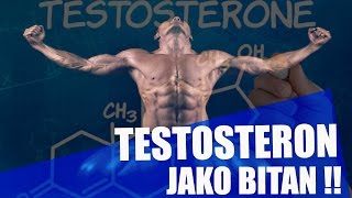 TESTOSTERON  10 RAZLOGA ZASTO JE BITAN ZASTO MI TREBA [upl. by Akinet]