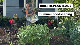 Planting a Summer Foodscape amp collecting lettuce seed [upl. by Ettenna]