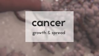 Cancer growth amp spread [upl. by Aydne]