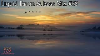 Liquid Drum and Bass Mix 2024 75 [upl. by Onailerua]