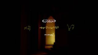 WO MOMIN HO JAYEN☺️surahyunus ytshorts shots quran islam ytshort youtubeshorts allahloves [upl. by Weil]