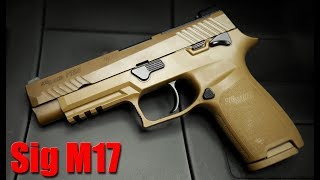 The Truth About The Sig Sauer M17 1000 Round Review [upl. by Aidnama584]