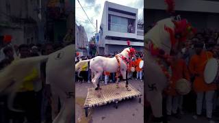 बाजवर कसा नाचतोय बादल bailgadasharyat bailgada horse horseriding horselover horsedance dj [upl. by Doone77]