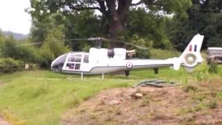 Aerospatiale SA342 GAZELLE STARTUP amp TAKEOFF [upl. by Sessler541]