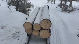 Skandic 900 ace Widetrack pulling logs with bob sleds [upl. by Coffee]