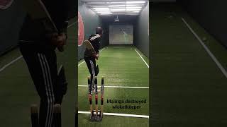 malinga yorker part 2bowling machine practice gone wrong 🥵 cricketshorts [upl. by Rafa]