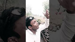 cg handa movie viral song [upl. by Hook876]