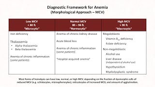 Anemia Lesson 1  Diagnostic Frameworks [upl. by Harrat476]