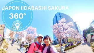 JAPON 360° DÉJÀ  SAKURA  Cerisiers japonais à Tôkyô Iidabashi VIDÉO SPHÉRIQUE 4K Ricoh Theta V [upl. by Corenda]