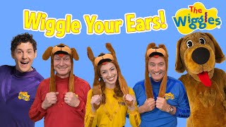 Wiggle Your Ears with Wags the Dog 🐶 The Wiggles [upl. by Yniatirb]