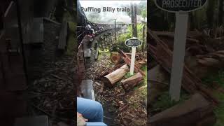 puffing Billypuffingbilly train belgravelakeside travel australia victoria travelaround [upl. by Liatnahs]