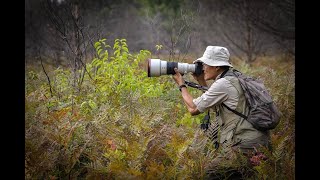 Birding amp Wildlife photography with the Sony α9 III [upl. by Seitz]