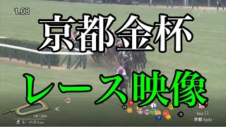 京都金杯2024 レース映像 [upl. by Kobylak]