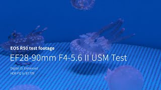 EOS R50 test footage  EF2890mm F456 II USM Test [upl. by Dupre]