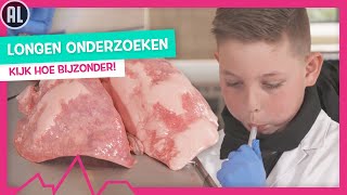 LONGEN OPBLAZEN 🤯  TOPDOKS  ANATOMISCHE LES VAN DOKTER ELBERT [upl. by Can]